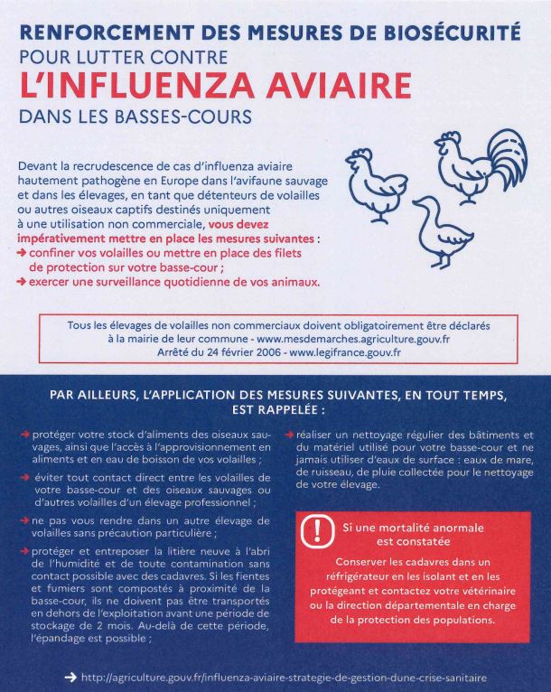 notice grippe aviaire